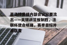 kaiyun官网-夏洛特黄蜂内部会议纪要流出——关键战篮板制胜，法联杯使命明确，赛季目标并未改变的简单介绍