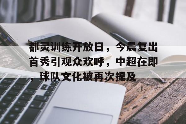 包含都灵训练开放日，今晨复出首秀引观众欢呼，中超在即，球队文化被再次提及的词条